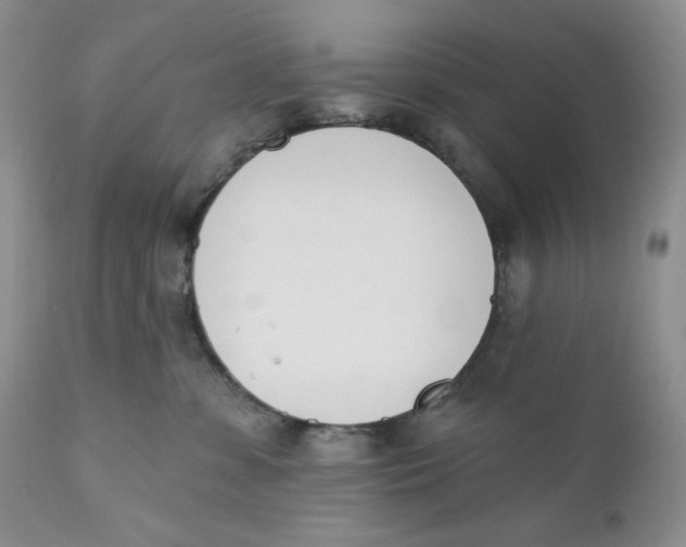 X0000110740331200907061013