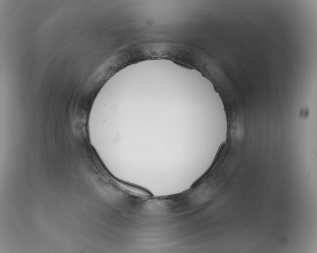 X0000110740332200907061013