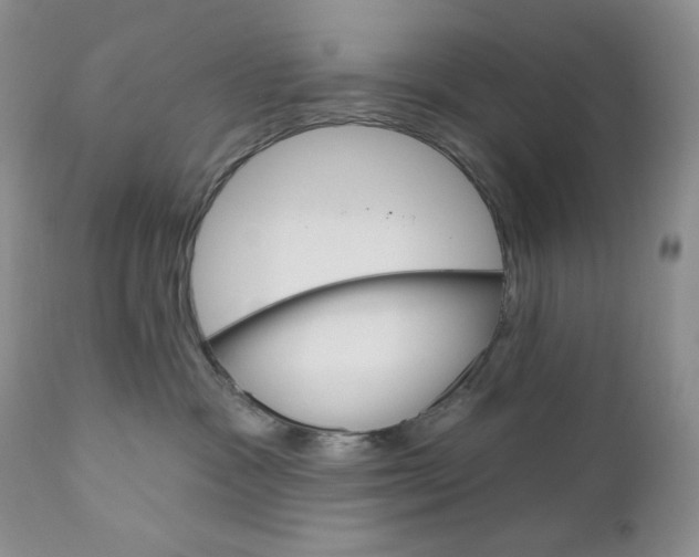 X0000110740333200907061013