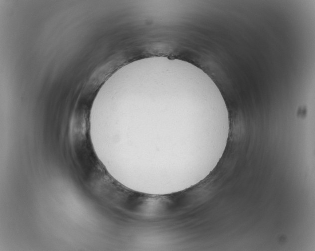 X0000110740334200907061013