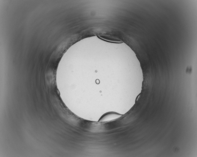 X0000110740335200907061013