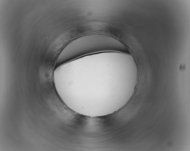 X0000110740336200907061013