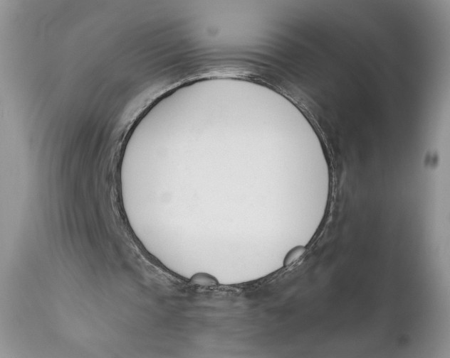 X0000110740337200907061012