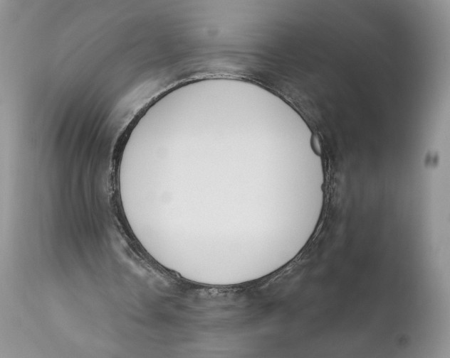 X0000110740338200907061012