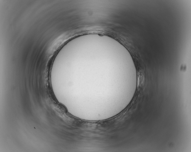 X0000110740339200907061012