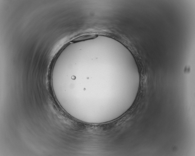 X0000110740340200907061012