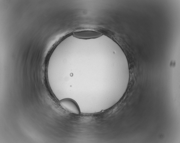 X0000110740342200907061012