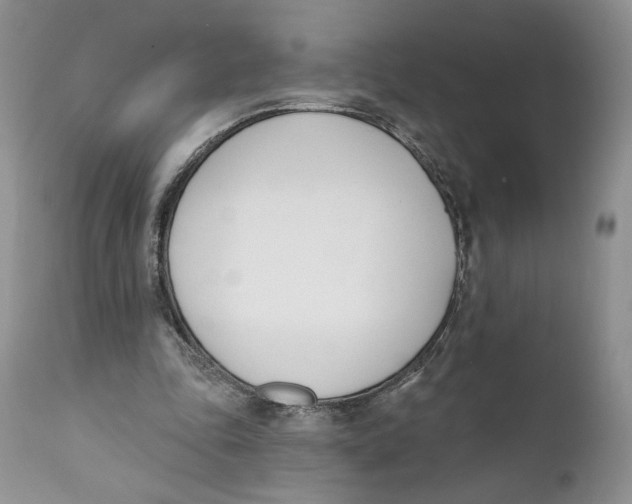 X0000110740343200907061012