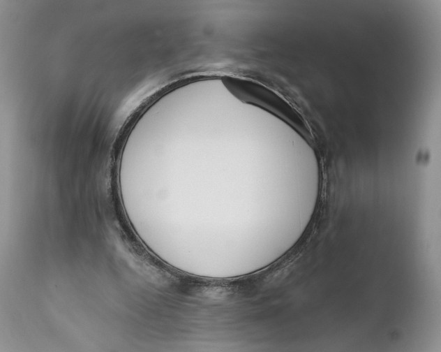 X0000110740344200907061012