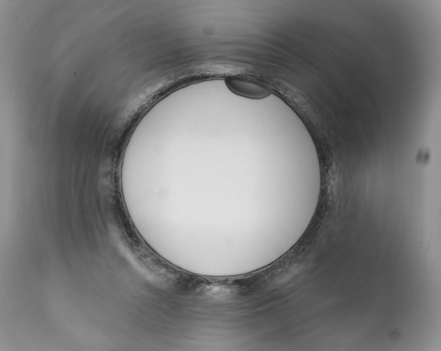 X0000110740352200907061012