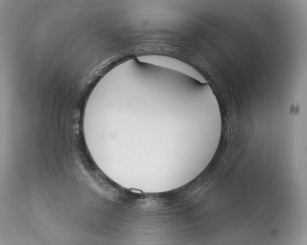 X0000110740356200907061012