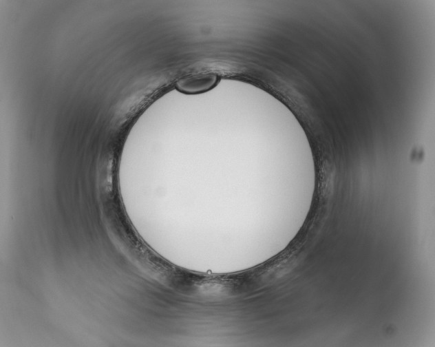 X0000110740358200907061012