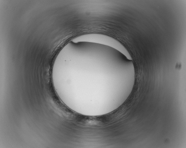 X0000110740360200907061012