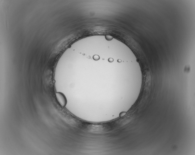 X0000110740361200907061013