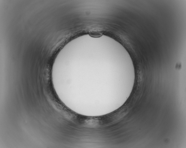 X0000110740362200907061013