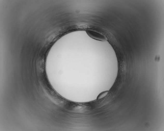 X0000110740364200907061013