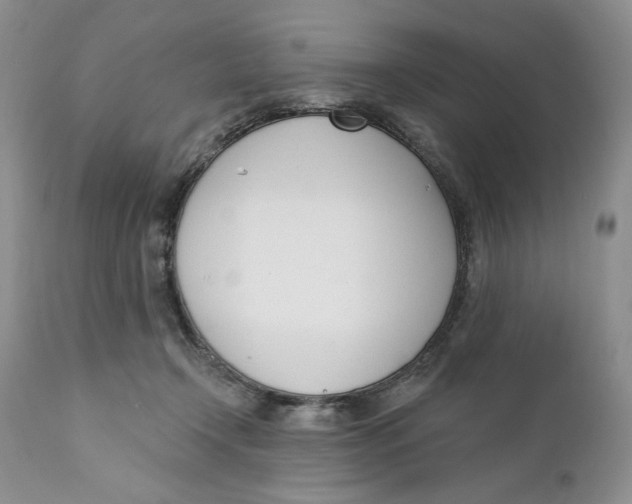 X0000110740366200907061013