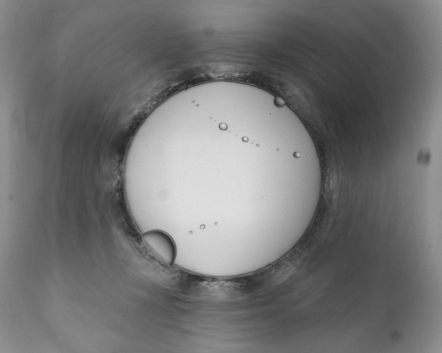 X0000110740367200907061013