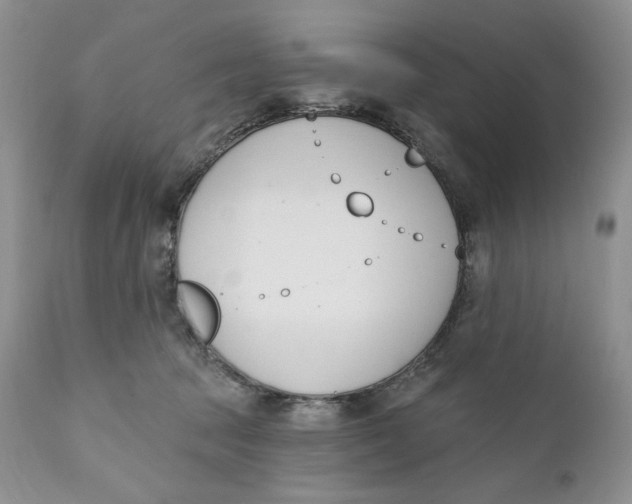 X0000110740369200907061013