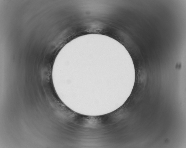 X0000110740370200907061013