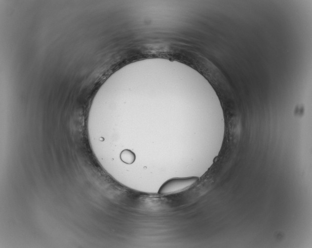 X0000110740372200907061013