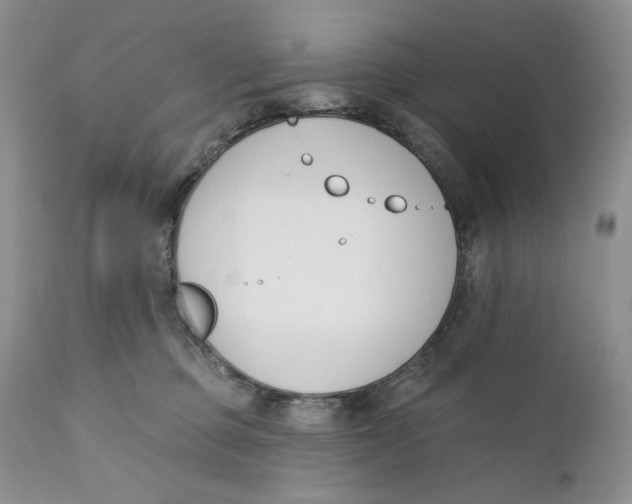 X0000110740373200907061013