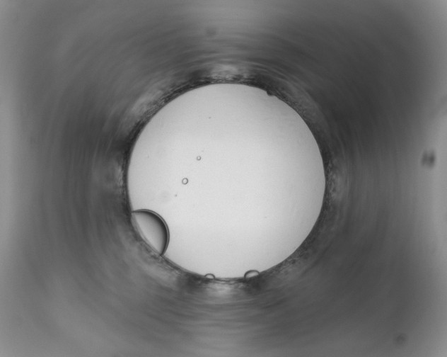 X0000110740375200907061013