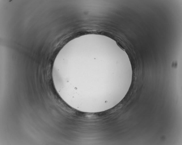 X0000110740376200907061013