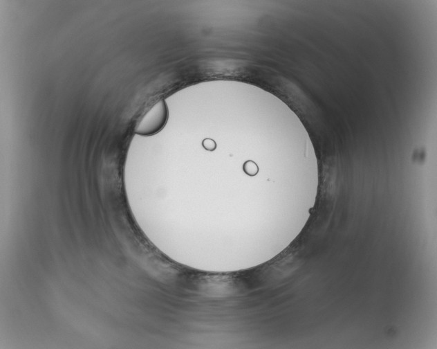 X0000110740377200907061013