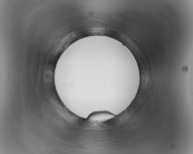 X0000110740379200907061013
