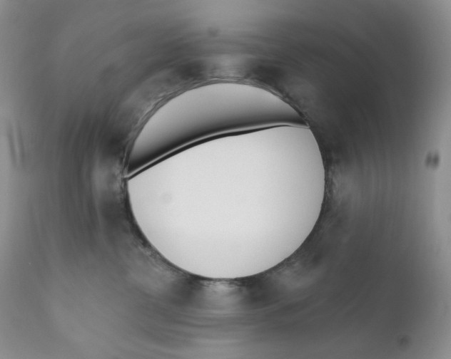 X0000110740380200907061013