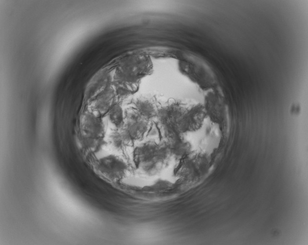 X0000110740381200907061013