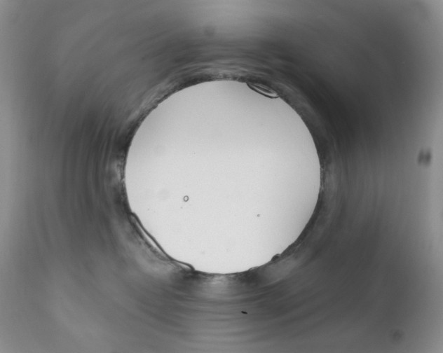 X0000110740382200907061013