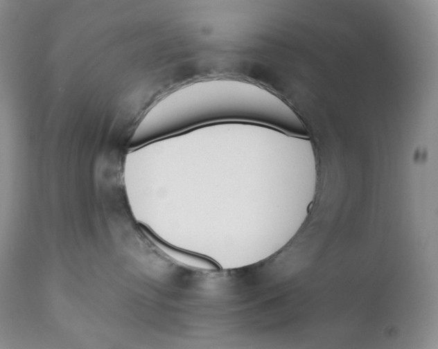 X0000110740384200907061013