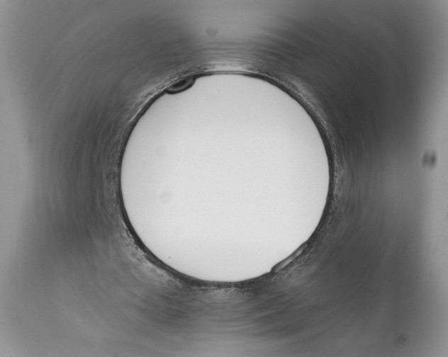 X0000110740385200907061012