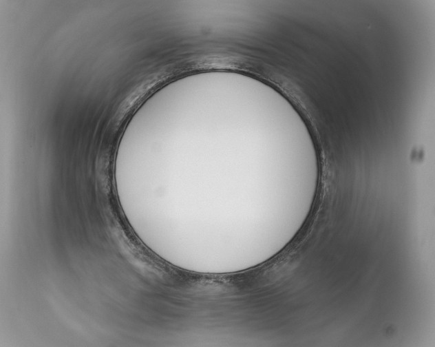 X0000110740386200907061012