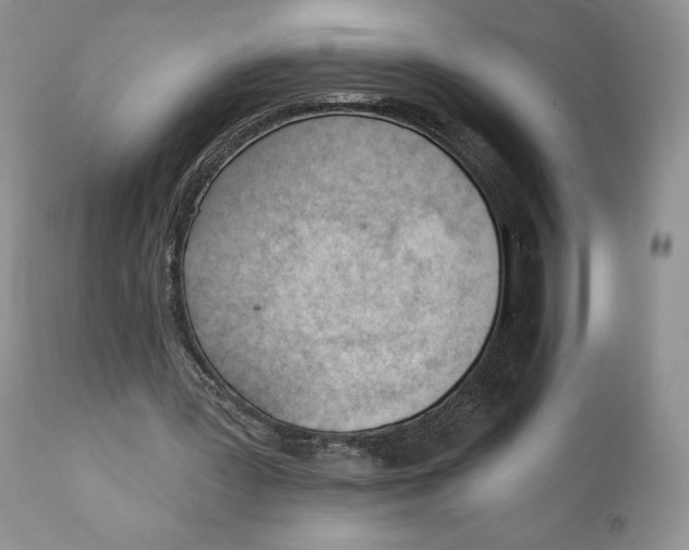 X0000110740387200907061012