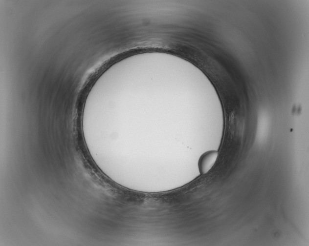 X0000110740388200907061012