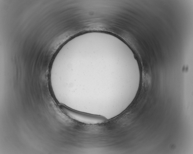 X0000110740389200907061012