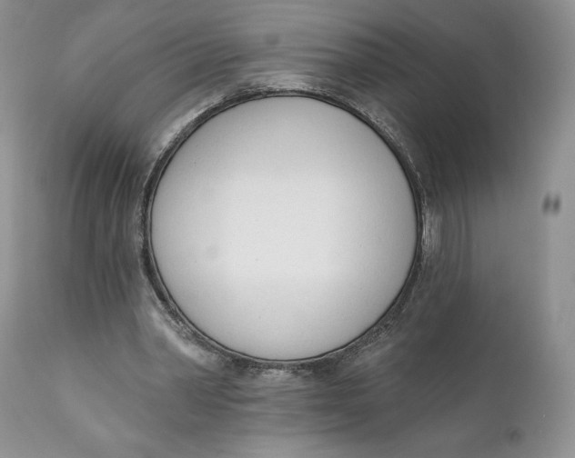 X0000110740390200907061012