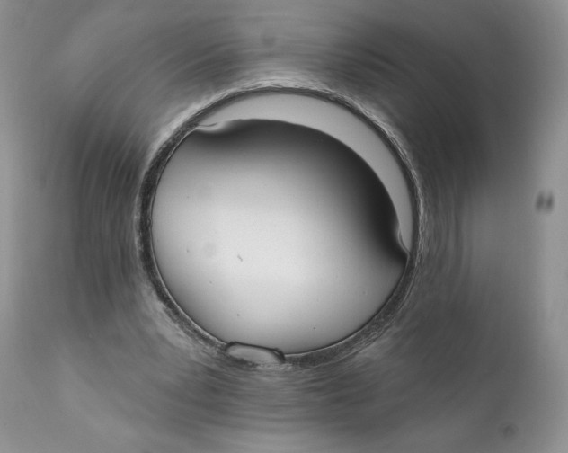 X0000110740391200907061012