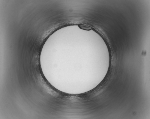 X0000110740393200907061012