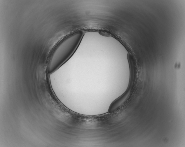 X0000110740395200907061012