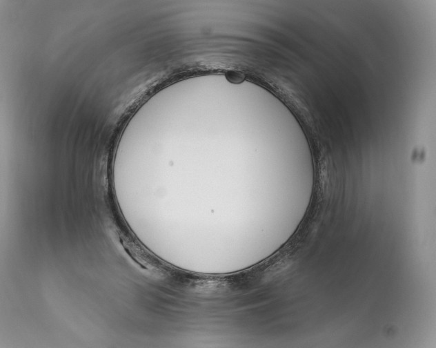 X0000110740398200907061012