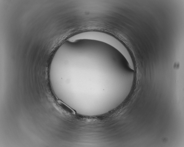 X0000110740401200907061012