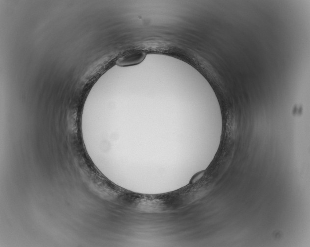 X0000110740403200907061012