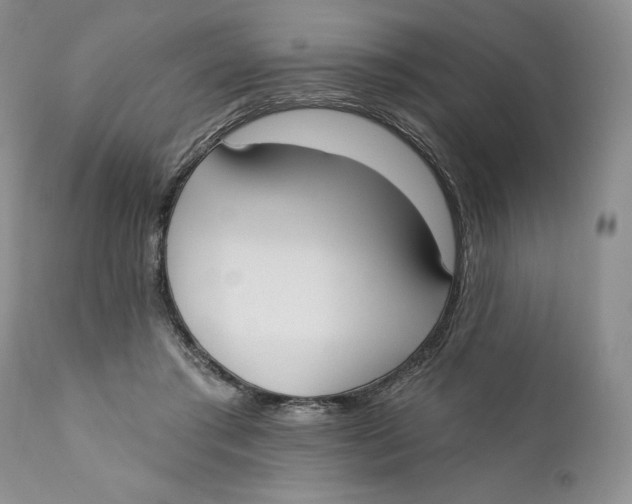 X0000110740405200907061012