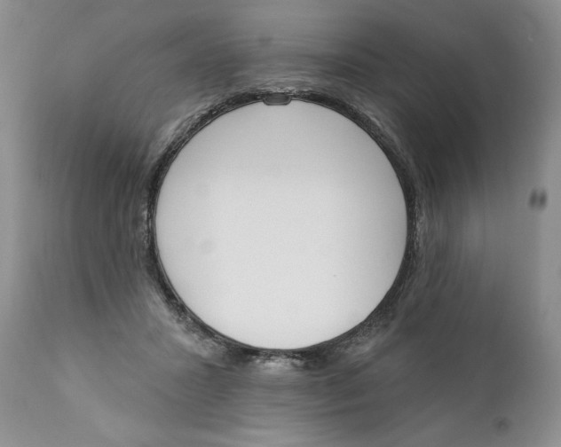 X0000110740407200907061012