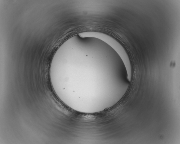 X0000110740409200907061012