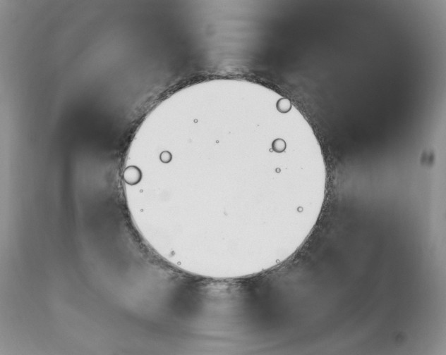 X0000110740415200907061012